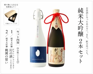 【お中元】日本酒 飲み比べセット 新潟コシヒカリ純米大吟醸 幻の酒 今代司酒造×純米大吟醸 桃園の誓い 720ml×2本　退職祝い ギフト プ