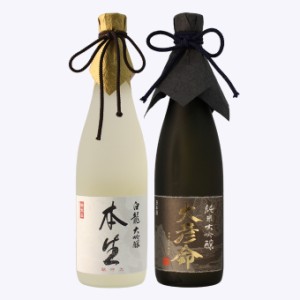 高級日本酒 飲み比べセット 一年熟成生原酒 大吟醸 白龍本生×純米大吟醸 大彦命 720ml 父の日 退職祝い ギフト 結婚祝い 内祝い 誕生日 