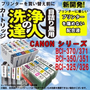 洗浄の達人　プリンター洗浄液 キヤノン　ＣＡＮＯＮ　BCI-371XL+370XL/6MP BCI-371+BCI370/6MP