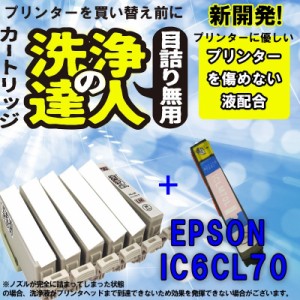 エプソン　epspn ic70 ic6cl70 ic70-LM ライトマゼンタ 洗浄の達人と互換インクセット