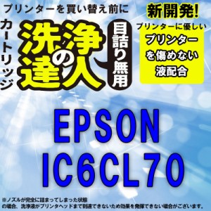 洗浄の達人　　エプソンプリンター目詰まりIC6CL70L(洗浄液セット) 目詰まり解消　洗浄カートリ