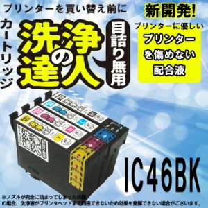 【印刷トラブルお任せ】洗浄の達人　エプソン　EPSON IC46　IC4CL46 インク洗浄液 IC46BK ブッラク プリンターインク　洗浄