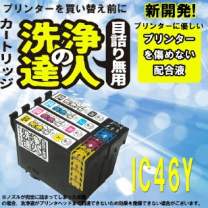 【印刷トラブルお任せ】洗浄の達人　エプソン　EPSON IC46　IC4CL46 インク洗浄液 IC46Y イエロー プリンターインク　洗浄