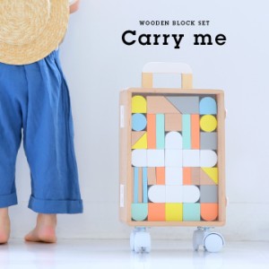 [安心安全のSTマーク付き] dou? Carry me(キャリーミー) つみき スーツケース 40ピース おもちゃ おもちゃ箱 玩具 収納 ブロック パズル 