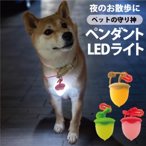 犬 お散歩 ペンダント LED 充電式 光る 犬 猫 夜間 散歩 安全 セーフティーライト リード ハーネス どんぐり かわいい 小型犬 中型犬 大