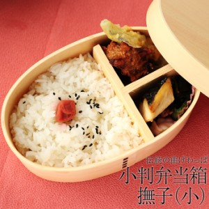 弁当箱 弁当 お弁当箱 曲げわっぱ 小判 弁当箱 撫子（小） 白木 500ml 1段 ウレタン塗装 お弁当箱 まげわっぱ 和風 男子 大容量 女子 大