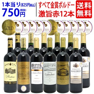 ワイン ワインセット すべて金賞フランス名産地ボルドー激旨赤１２本セット (6種類各2本)  送料無料 ^W0DI71SE^