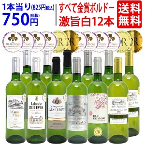 ワイン ワインセット すべて金賞 フランス名産地ボルドー辛口白激旨１２本セット (6種各2本)  送料無料 ^W0DK45SE^