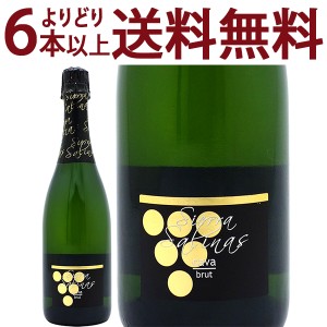 よりどり6本で送料無料 VT シエラ サリナス カヴァ ブリュット 750ml 白泡 コク辛口 ワイン ^VECISBZ0^