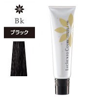 [ ブラック Bk ] ルーチェント コスメ ヘアマニキュア ヘアカラー カラーリング 女性用 白髪染め