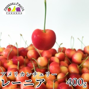 【予約販売】アメリカ産レーニア(レイニア)チェリー　400ｇ