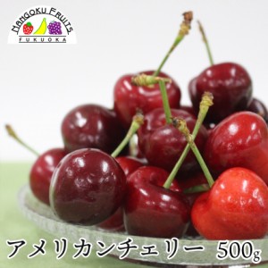 【父の日ギフト対応】アメリカンチェリー　500ｇ