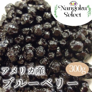 【メール便】ドライフルーツ・アメリカ産ブルーベリー　300ｇ