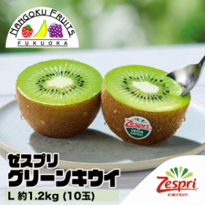 【予約販売】ニュージーランド産ゼスプリ・グリーンキウイL約1.2kg(10玉)