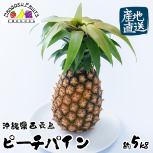 【予約販売】【産地直送】沖縄県西表島産 ピーチパイン 約5kg