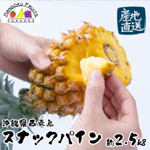 【予約販売】【産地直送】沖縄県西表島産 スナックパイン 約2.5kg