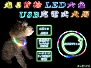 光る首輪　LED 六色 USB充電式 犬用　約70ｃｍ ドッグ 夜 散歩