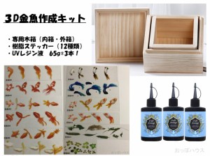 レジン　３D樹脂金魚　工芸品用　作成キット