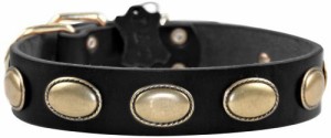 Dean & Tyler Retro Rulz Dog Collar with Oval Hardware and Brass Buckle 18 by 1-1/2-Inch Black