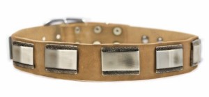 Dean and Tyler "WHITE LIGHT" Leather Dog Collar with Beautiful Nickel Plates - Tan - Size 40-Inch