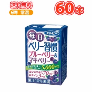 エルビー 毎日ベリー習慣 125ml紙パック 30本入×2ケース〔ポリフェノール アントシアニン カシスエキス