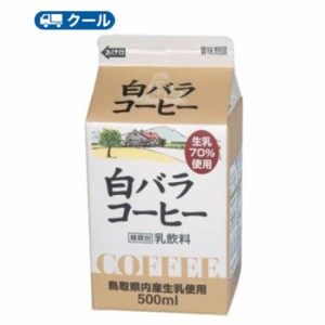 白バラ　コーヒー【500ml×6本】 クール便/ミルク　コーヒー　珈琲　ミルクコーヒー　送料無料