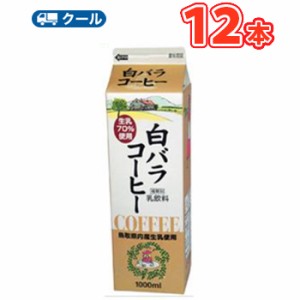 白バラ コーヒー 【1000ml×12本】  クール便/