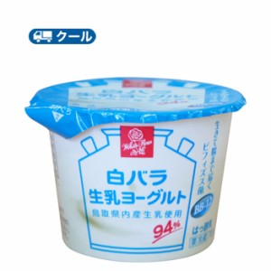 白バラ　生乳ヨーグルト　70ｇ×24コ入 /クール便//ヨーグルト　yogurt