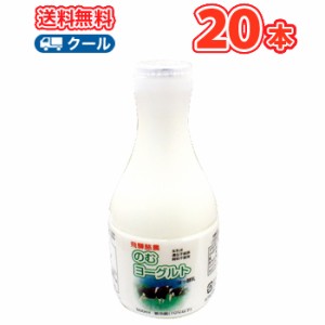  飛騨酪農のむヨーグルト 【500ml×20本】  送料無料/クール便/飛騨牛乳