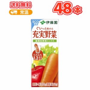 伊藤園 充実野菜 緑黄色野菜ミックス　【200ml】×24本入/2ケース （野菜