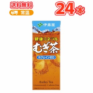 伊藤園 健康ミネラルむぎ茶 250ml×24本入 紙パック〔カフェインゼロ 麦茶 無香料 無着色〕