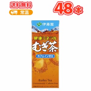 伊藤園 健康ミネラルむぎ茶 250ml×24本入/2ケース 紙パック〔カフェインゼロ 麦茶 無香料 無着色〕