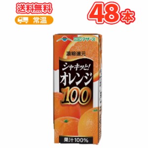 らくのうマザーズ　オレンジ100 200ml紙パック　24本入×2ケース　〔おれんじ オレンジ ジュース〕