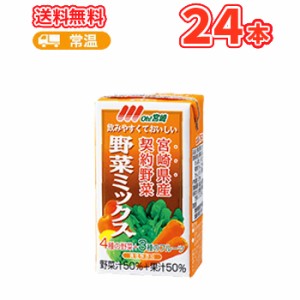 南日本酪農協同 デーリィ 野菜ミックス 125ml×24本入 九州 南日本酪農協同デーリィ 常温保存 ロ