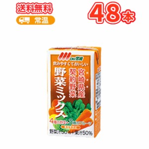 南日本酪農協同 デーリィ 野菜ミックス 125ml×24本入/2ケース 九州 南日本酪農協同デーリィ 常温保存 ロングライフ送料無料