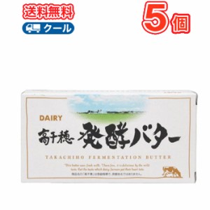 高千穂発酵バター加塩　 200g 1個 南日本酪農協同 デーリィ【200g×5個】 クール便  まとめ買いバター 有塩　トースト 業務用  国産 クッ