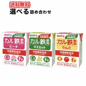 南日本酪農協同 デーリィ カル鉄飲料 マスカット ピーチ りんご よりどり選べる4ケース 200ml各種 18本入/4ケース 紙パックセット  鉄分