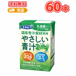 エルビー やさしい青汁 125ml×30本×2ケース  宅配専用 国産 あおじる 乳酸菌 カルシウム ケール