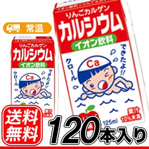 りんご カルゲンカルシウム  【125ml×24本】5ケース/送料無料 イオン飲料 アップル 紙パック