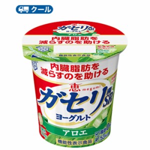 雪印　メグミルク　恵 ガセリ菌 SP株ヨーグルト アロエ食べるタイプ100ｇ×24コ 【クール便】送料無料　ガセリ菌SP株　機能性表示商品　