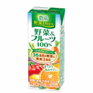 雪印　メグミルク　農協 野菜Days 野菜＆フルーツ100％ LL200ｍｌ×18本入/2ケース　紙パック 送料無料　〔農協 野菜Days　野菜汁　果汁1