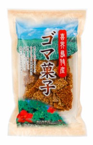 黒砂糖お菓子 喜界島 ゴマ菓子110g×20袋 みちのしま ごま菓子 奄美大島 黒糖 お菓子 お土産