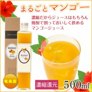 奄美マンゴージュース500ml 箱入り まんまる工房 マンゴー マンゴージュース 奄美大島 お土産