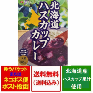 北海道 ご当地カレー 送料無料 カレー ベル食品 北海道 ハスカップカレー レトルト 1人前180g  北海道産ハスカップ果汁使用 ハスカップ 