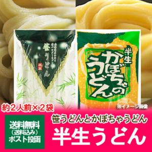 「半生うどん 送料無料」北海道産小麦を使用した半生うどん セット (笹うどん・かぼちゃうどん) 240 g(約2人前)×2個(2袋) 価格 850 円