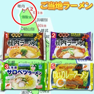 選べる ご当地ラーメン 生麺 送料無料 北海道 稚内 生ラーメン スープ付 2食入り 選べる 2袋セット 価格 1111 円 