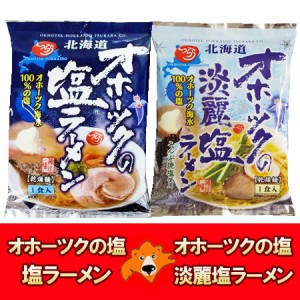 オホーツクの塩ラーメン 送料無料 オホーツクの淡麗塩ラーメン インスタントラーメン 袋麺 各1袋 オホーツクの塩 ラーメン・淡麗 塩ラー