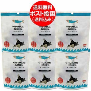 おつまみ にしん 送料無料 ニシン 北海道産 にしん 珍味 ピリ辛 1袋×6 井原水産 おつまみにしん 珍味 おつまみ 