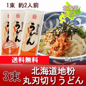 乾麺 うどん 送料無料 うどん 北海道 干しうどん 200 g×3束 饂飩 ポイント消化 メール便 食品 ポスト投函 麺類 うどん