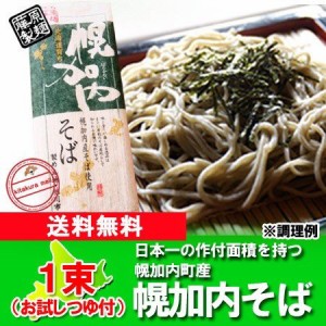 そば 送料無料 蕎麦 乾麺 幌加内そば 250g×1束 お試し そばつゆ 付き 価格 598 円 ほろかない そば 幌加内蕎麦